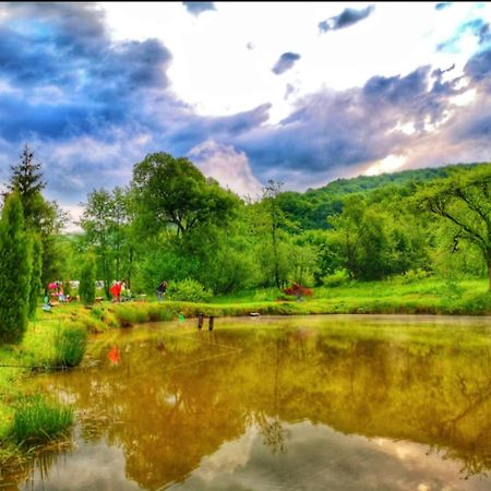 Pensiunea Cerbul - Valea Dobarlaului Exterior foto