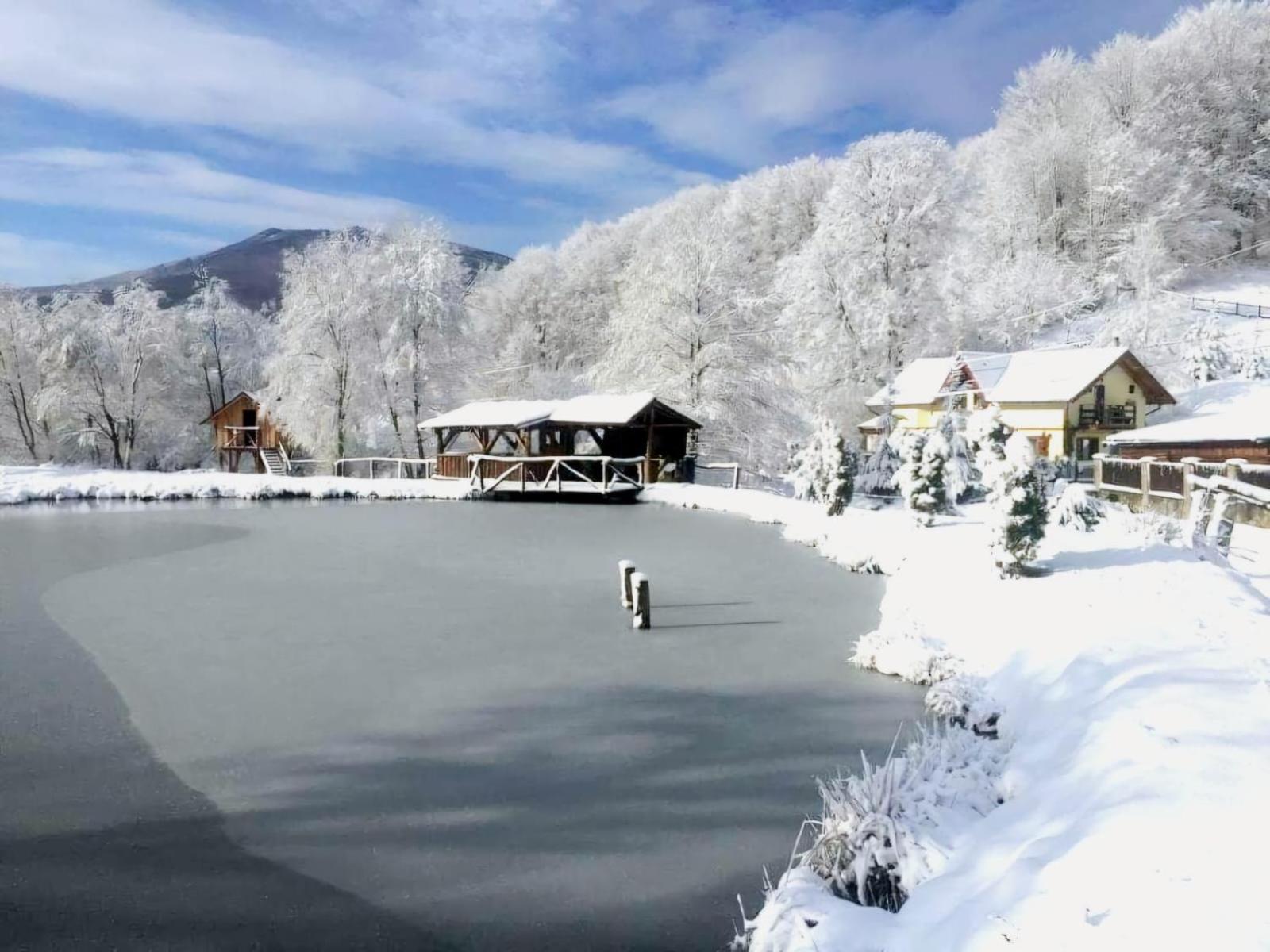 Pensiunea Cerbul - Valea Dobarlaului Exterior foto