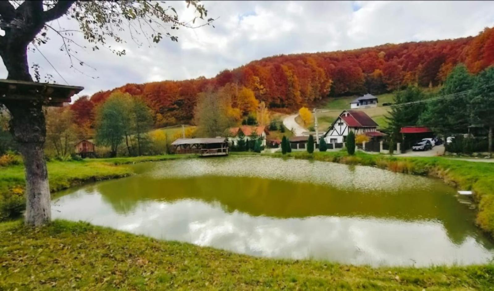 Pensiunea Cerbul - Valea Dobarlaului Exterior foto